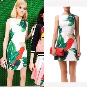 Alice and Olivia Malin Dress SOLD OUT EVERYWHERE